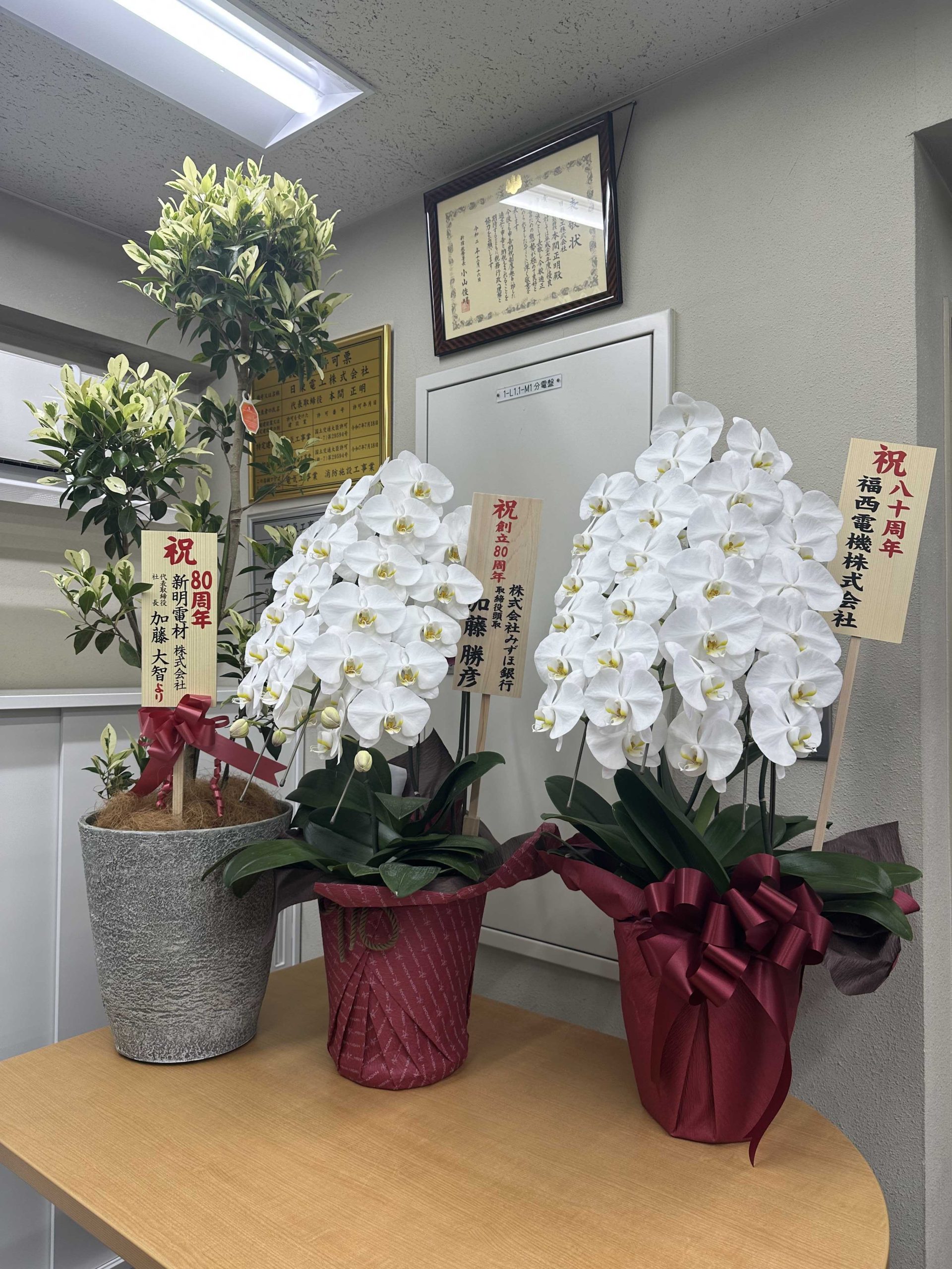 創立80周年のお祝いにお花と観葉植物をいただきました